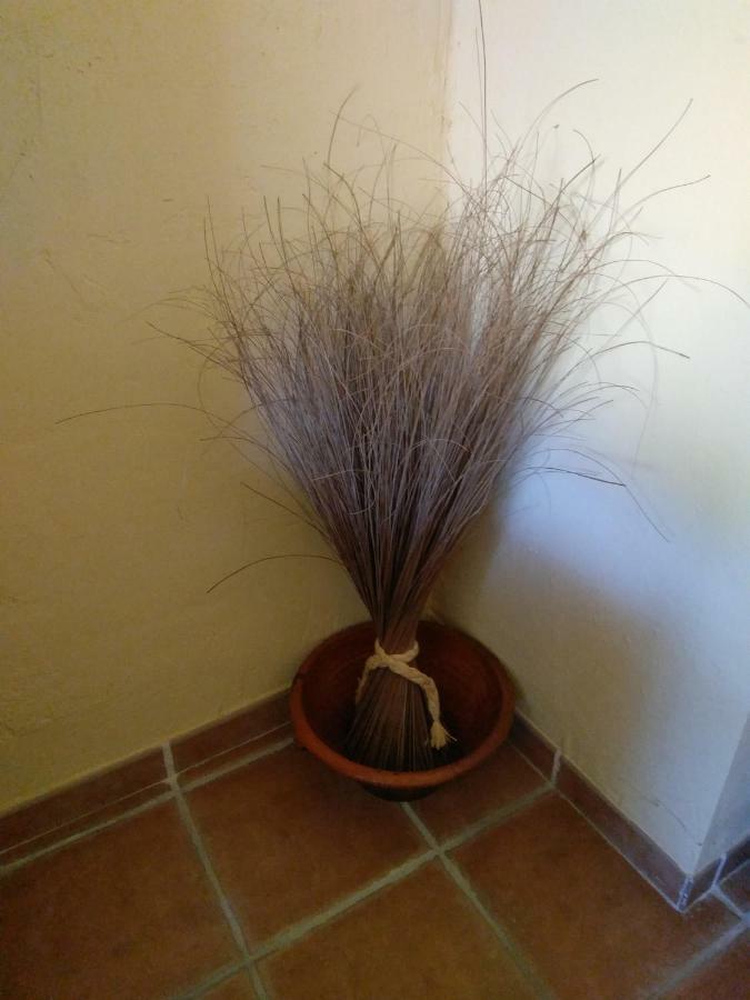 Casa Rural Celtia Aguilar del Rio Alhama ภายนอก รูปภาพ